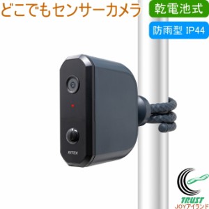 乾電池式 どこでもセンサーカメラ C-BT7000 送料無料 防犯カメラ 録画 ガレージ 防雨型 マグネット RITEX ムサシ