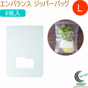 エンバランス ジッパーバッグ L 大 6枚入 T12180 日本製 冷凍OK 保存袋 野菜 果物 食品 クロネコゆうパケット対応