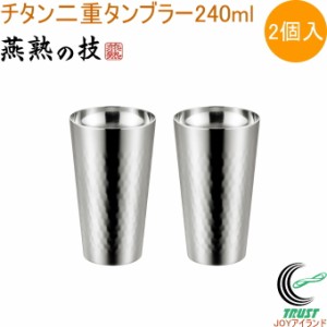 チタン二重タンブラー ミラー仕上げ 240ml 2個入 EJA-3000 日本製 燕三条産 送料無料 二重構造 チタン製 セット