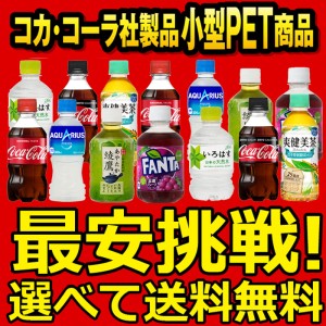 よりどり選べる 2ケース × 24本 合計 48本 300ml ペットボトル 目指せ最安 送料無料 コカコーラ社直送