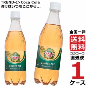 カナダドライジンジャーエール 500ml PET 1ケース × 24本 合計 24本 送料無料 コカコーラ社直送 最安挑戦