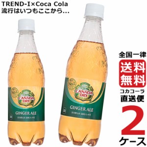 カナダドライジンジャーエール 500ml PET 2ケース × 24本 合計 48本 送料無料 コカコーラ社直送 最安挑戦