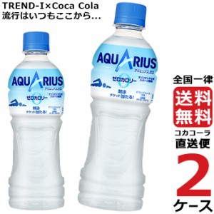 アクエリアスゼロ 500ml PET 2ケース × 24本 合計 48本 送料無料 コカコーラ社直送 最安挑戦