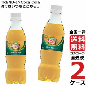 カナダドライ ジンジャーエール PET 350ml ペットボトル 2ケース × 24本 合計 48本 送料無料 コカコーラ 社直送 最安挑戦