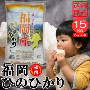 米15kg 米 お米 15kg ひのひかり ヒノヒカリ 5kg×3袋 セット 送料無料 こめ 小分け 精米 つきたて米 福岡県産