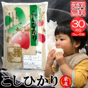 米30kg 米 お米 30kg コシヒカリ こしひかり 5kg×6袋 セット 送料無料 こめ 白米 精米 小分け 宮崎県産