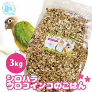 オリジナル配合 小鳥の餌 ＊fuu シロハラインコ・ウロコインコのごはん 3kg＊ インコ 中型インコ 餌 主食 ペットフード