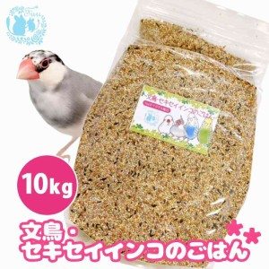 オリジナル配合 小鳥の餌 ＊fuu 文鳥 セキセイインコのごはん 10kg＊ インコ フィンチ 文鳥 セキセイ 小型インコ 餌 主食 ペットフード