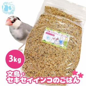 オリジナル配合 小鳥の餌 ＊fuu 文鳥 セキセイインコのごはん 3kg＊ インコ フィンチ 文鳥 セキセイ 小型インコ 餌 主食 ペットフード