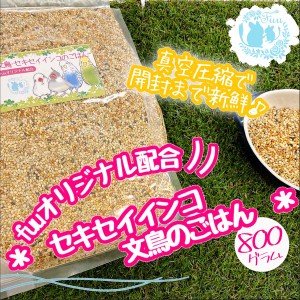 オリジナル配合 小鳥の餌 ＊fuu 文鳥 セキセイインコのごはん 800g＊ インコ フィンチ 文鳥 セキセイ 小型インコ 餌 主食 ペットフード