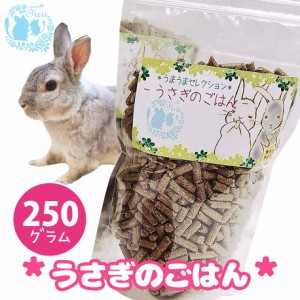 fuu うまうまセレクション うさぎのごはん 250g ウサギ 小動物用 ハードタイプ バランス 栄養食