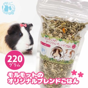 fuu うまうまセレクション 【 モルモットのオリジナルブレンドごはん 野菜ぷらす 】 220g 小動物用 バランス 栄養食