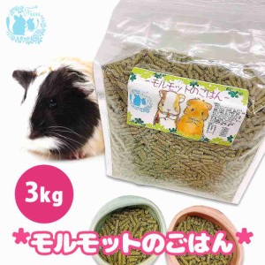 fuu うまうまセレクション モルモットのごはん 3kg 小動物用 バランス 栄養食