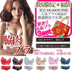 《 訳アリＢ品 》脇高ブラ＆ショーツ 3個セット福袋 (カラーランダム) レディース 下着セット 上下セット ブラジャー セクシー かわいい 
