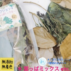 うまうまセレクション ＊はっぱミックス＊【 無添加 無着色 】 国産 乾燥野菜 キャベツ 小松菜 小動物用 おやつ うさぎ チンチラ モルモ