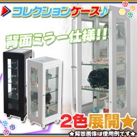 コレクションケース 縦型 ガラスケース ショーケース 背面ミラー仕様♪