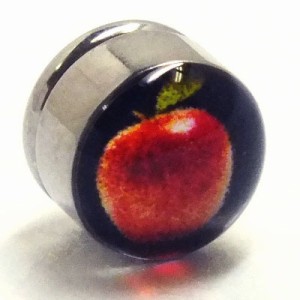 ステンレスマグネットピアス（アップル） リンゴ 林檎 果物 フルーツ 磁石 イヤリング 耳 軟骨 穴あけ不要 ピアスできない人に サージカ
