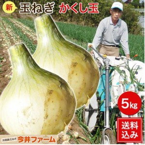 今井ファーム 新玉ねぎかくし玉5kg 送料無料 淡路島たまねぎ＃かくし玉 5Ｋ＃ かくし玉 たまねぎ 新たまねぎ 新玉葱 新玉ねぎ 新玉