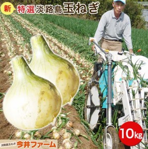 淡路島新玉ねぎ10キロ　送料無料　 #淡路島玉ねぎ10キロ＃たまねぎ タマネギ たまねぎ 玉葱 淡路島 玉ねぎ 玉ねぎ 新たまねぎ 新玉葱 新