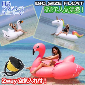 【送料無料/空気入れ付き】うきわ 浮き輪 大きい BIG ビッグサイズ フラミンゴ 白鳥 ユニコーン フロート 大人用 大人 子供 空気入れ付 