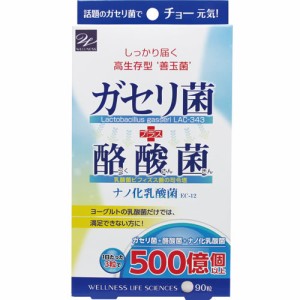 ガセリ菌＋酪酸菌 90粒 (メール便送料無料) サプリメント ウエルネスライフサイエンス 善玉菌 乳酸菌