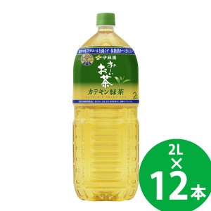 【リニューアル】【特定保健用食品】伊藤園 お〜いお茶 カテキン緑茶 PET 2L×12本 (6本×2ケース) (送料無料) トクホ 特保 ガレート型 