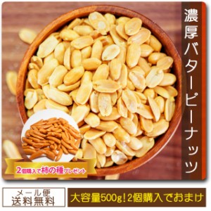 1000円 ぽっきり ナッツ バターピーナッツ 500g 送料無料 濃厚 バタピ 巌流庵 大容量セット 500g ぴーなっつ ピーナッツ ポイント消化 家