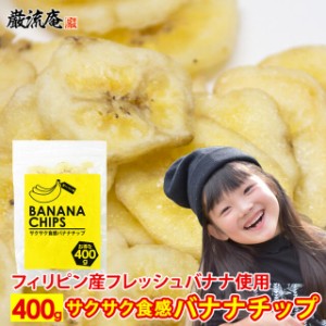 全国送料無料 対象店舗 バナナチップス バナナチップ 400g ドライフルーツ ドライ フィリピン バナナ おすすめ お菓子 おやつ ドライフル