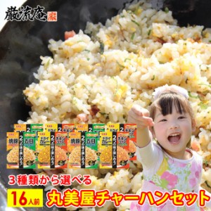 チャーハンの素 丸美屋 チャーハン 炒飯 焼豚 五目 ドライカレー チキンライス の素 16人前 中華 セット 送料無料 備蓄食料 ポイント消化