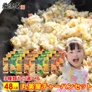 チャーハンの素 丸美屋 チャーハン 炒飯 焼豚 五目 ドライカレー チキンライス の素 48人前 中華 セット 送料無料 備蓄食料 業務用 大容