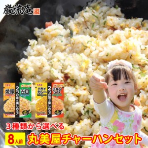 チャーハンの素 丸美屋 チャーハン 炒飯 焼豚 五目 ドライカレー チキンライス の素 8人前 中華 セット 送料無料 備蓄食料 ポイント消化