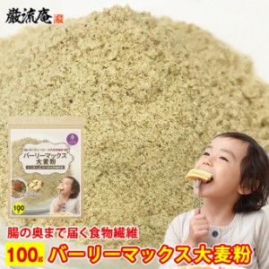 1000円 ぽっきり スーパー大麦 バーリーマックス 大麦 粉 バーリーマックス粉 スーパー大麦粉 粉末 100g 食物繊維 ハイレジ 大麦 小麦粉 