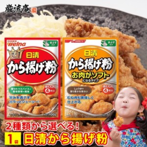 唐揚げ粉 からあげ粉 日清 から揚げ粉 送料無料 2種類 から 選べる 1袋 お肉がソフトになるタイプ 粉 衣 簡単 便利 日清フーズ 調味料 50