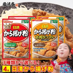 1000円 ぽっきり から揚げ粉 日清 唐揚げ粉 からあげ粉 送料無料 3種類 から 選べる 4袋 お肉がソフトになるタイプ 粉 衣 簡単 便利 日清