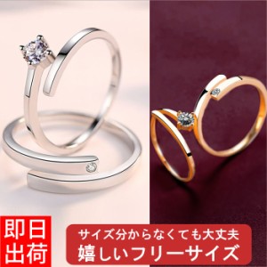 【最大半額以下！三太郎の日全品セール！】指輪 レディース フリーサイズ 0.25カラット 一粒 ピンキー リング プレゼント 女性 プラチナ 