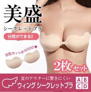 2個セット♪絶対使えるシークレットブラ パーティー 水着 結婚式に? キャバ嬢愛用 ヌーブラ ソープも使えます♪ 普段着でも パーティーに