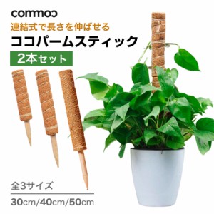 ココパームスティック 2本セット 植物 支柱 おしゃれ ココ スティック 50cm 40cm 30cm モンステラ 観葉植物 植物支柱 ガーデン 園芸用 園