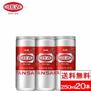 送料無料 1ケース ウィルキンソン タンサン 250ml 20缶 炭酸 強炭酸 ソーダ ソーダ水 wilkinson 炭酸 水 無糖 強炭酸水 ウィルキンソン炭