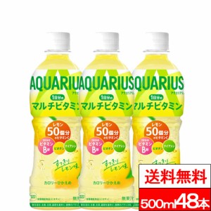 全国配送対応 送料無料 アクエリアス 一日分のマルチビタミン 500ml 24本×２箱（48本） スポーツドリンク スポーツ飲料 coca cola コカ