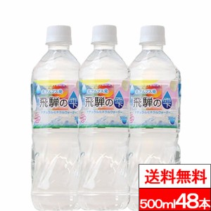 送料無料 天然水 飛騨の雫 500ml 24本×2箱（計48本）北アルプス 国産 みず お水 軟水 ミネラルウォーター ケース ナチュラルミネラルウ