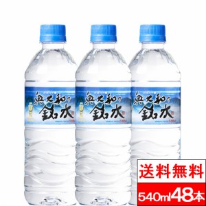 365日出荷 送料無料 奥大和の銘水 540ml 24本 2箱（計48本）シリカ 軟水 国産 シリカウォーター お水 ミネラルウォーター ケイ素水 軟水 