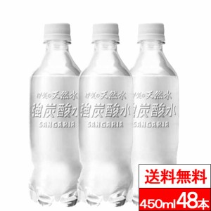 賞味期限：2024年9月13日 訳あり 送料無料 ラベルレス サンガリア 伊賀の天然水 強炭酸水 450ml 24本×2箱（計48本） 無糖 無糖炭酸 伊賀