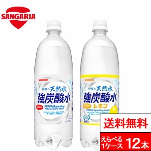 1ケース 送料無料  強炭酸 伊賀の天然水 炭酸水 選べる 炭酸水 1000ml 12本 送料無料 サンガリア 伊賀の強炭酸水 ペットボトル 天然炭酸