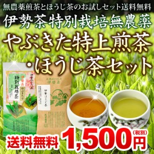 伊勢茶 特別栽培 無農薬 やぶきた 特上煎茶 ほうじ茶 セット メール便 送料無料 ( 無農薬茶 煎茶 緑茶 焙じ茶 お茶 茶葉 お茶の葉 日本茶