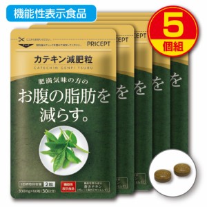 【新登場・送料無料】肥満気味の方のお腹の脂肪を減らす カテキン減肥粒 機能性表示食品【 60粒30日分】（5個組）粒タイプ　緑茶カテキン