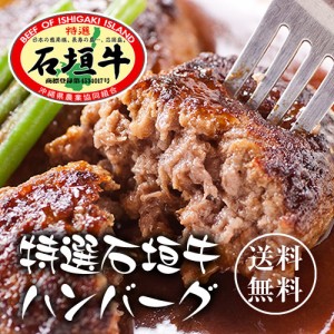 通常価格より10 Off 石垣牛ハンバーグ8個 ギフトセット 送料無料 石垣牛 ハンバーグ お中元 ギフト のし対応可能の通販はau Wowma ワウマ 沖縄clipマルシェ 商品ロットナンバー