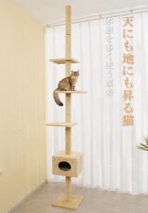 送料無料 キャットタワー 突っ張り 木製 高さ183-270cm対応 木登りタワー シングル 猫タワー 省スペース おしゃれ 可愛い 賃貸 太い支柱 