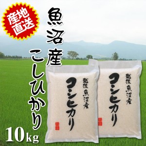 魚沼産コシヒカリ 10kg (5kg×2個) 令和5年産 2023年度産 米 精米 とれたての美味しさ 白米 精米 精米済 お米