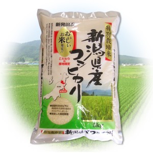 令和5年産 新潟県産 コシヒカリ 5kg 特別栽培米 2023年度産 米 お米 白米 ご飯 コメ こめ 白米 5キロ 食品 贈答 ギフト お中元 お歳暮 内