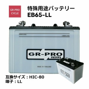 GR-PRO CYCLE 特殊用途バッテリー 交換用バッテリー 高所作業車 スイーパー スクラバー 小型電動車 BROAD EB65 EB65-LL 